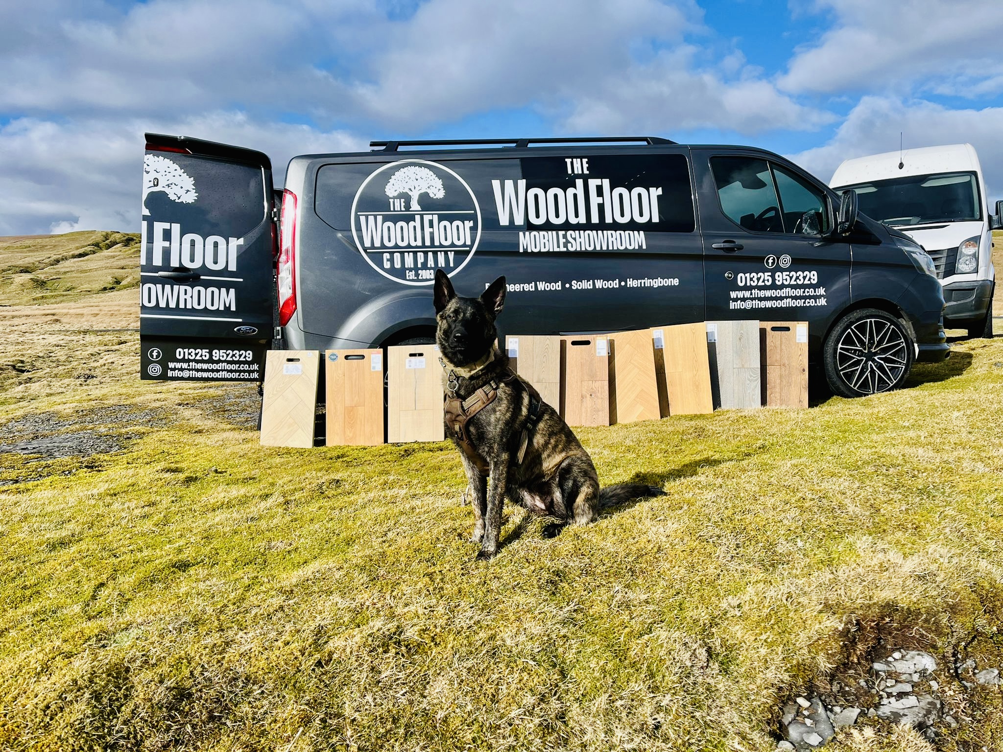 Mobile Wood Floor Showroom